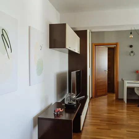 Monte Carlo Visage *