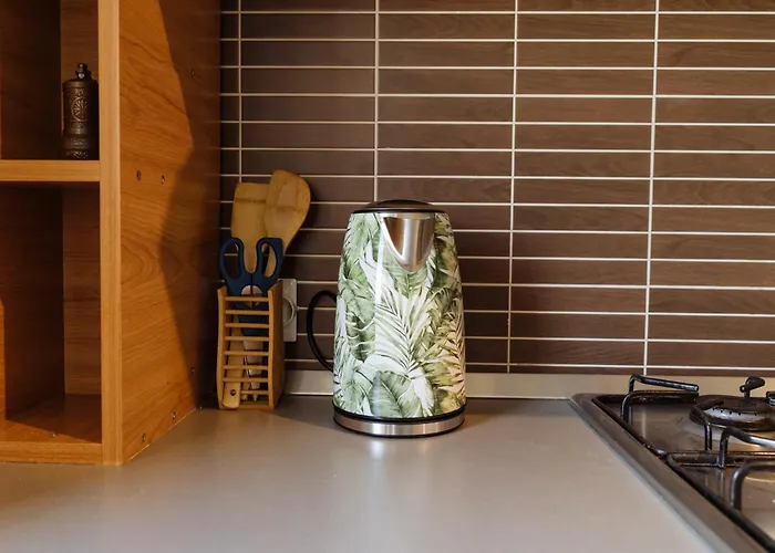 公寓 Monte Carlo Visage 布加勒斯特