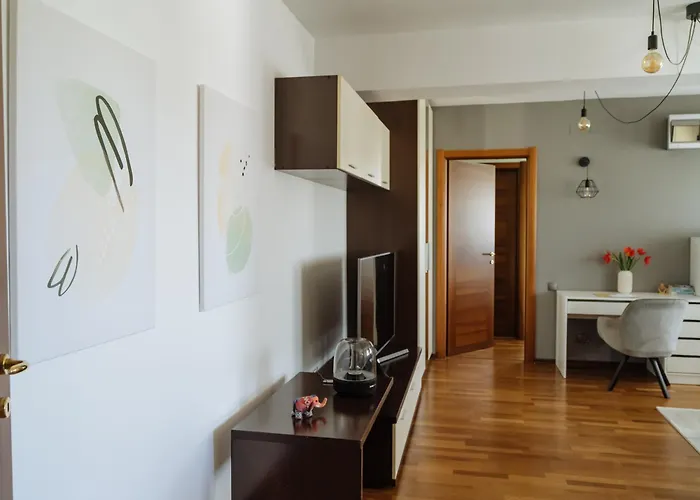 Monte Carlo Visage *